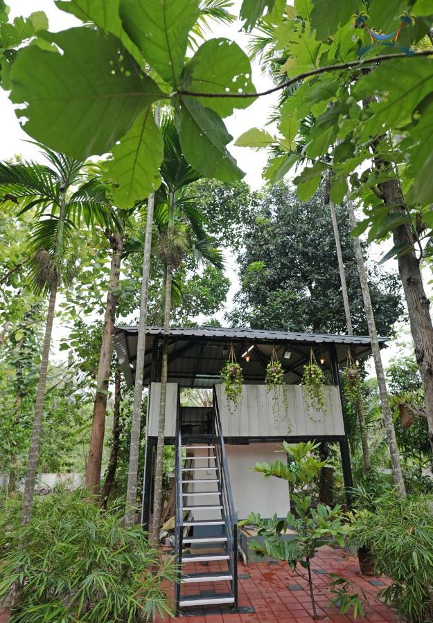 Serenity Villa And Treehouse Палаккад Экстерьер фото